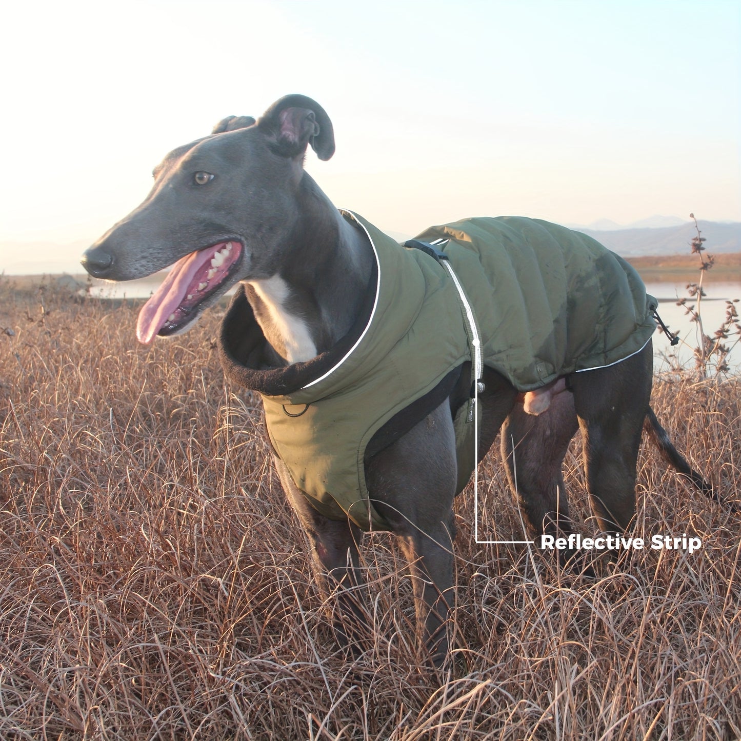 Fit Dog Winter Jacket - Warm, Breathable & Windproof Outdoor Coat with Press Buckle Closure, 100% Polyester, Ideal for Small/Medium/Large Breeds - Green & Pink Options, Cold Weather Clothing|Breathable Dog Vest|Waterproof Out