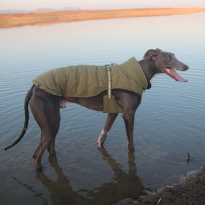 Fit Dog Winter Jacket - Warm, Breathable & Windproof Outdoor Coat with Press Buckle Closure, 100% Polyester, Ideal for Small/Medium/Large Breeds - Green & Pink Options, Cold Weather Clothing|Breathable Dog Vest|Waterproof Out