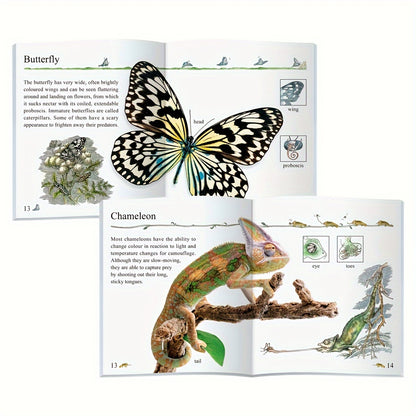 Set Of 10, English Books In My Encyclopedia Series, Gift for Kids - Children's Educational Assistance Book - Published By Sunshine Children's Educational Association - 2023-06-15