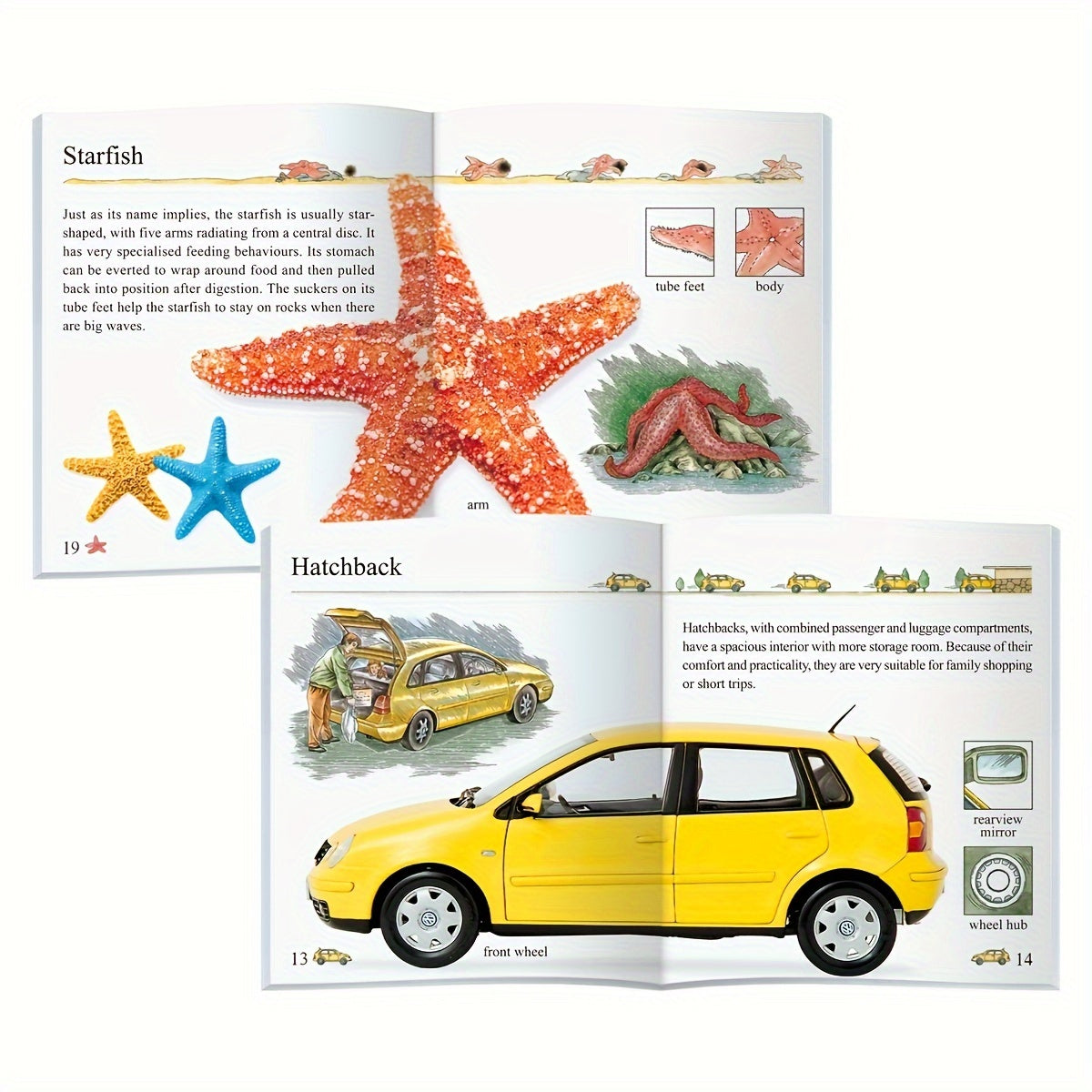 Set Of 10, English Books In My Encyclopedia Series, Gift for Kids - Children's Educational Assistance Book - Published By Sunshine Children's Educational Association - 2023-06-15