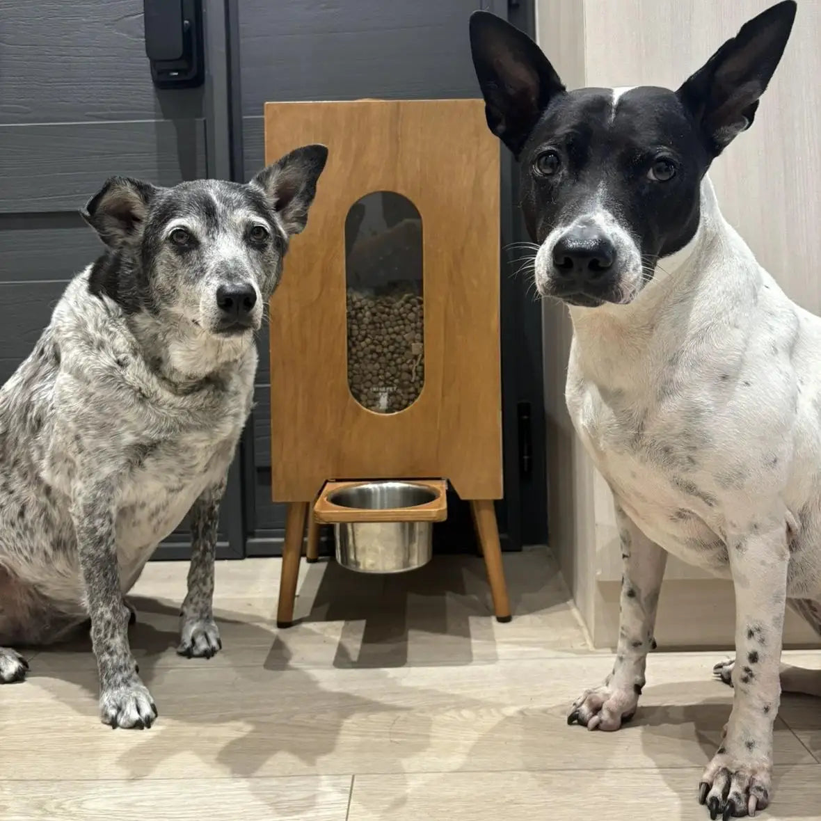 Wholesale Walnut-Wood Pet Feeder | Large Capacity Gravity Food Dispenser | Manual Portion Control for Cats & Dogs