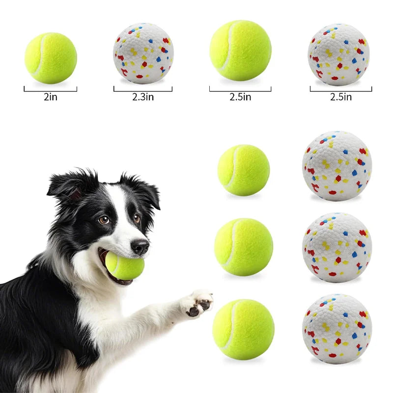 Customized Logo High Quality Multi-Color Tennis Balls Eco-Friendly Fashion Style Pet Chew Toys for Dogs