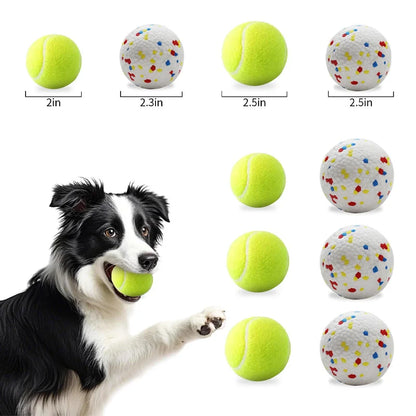 Customized Logo High Quality Multi-Color Tennis Balls Eco-Friendly Fashion Style Pet Chew Toys for Dogs
