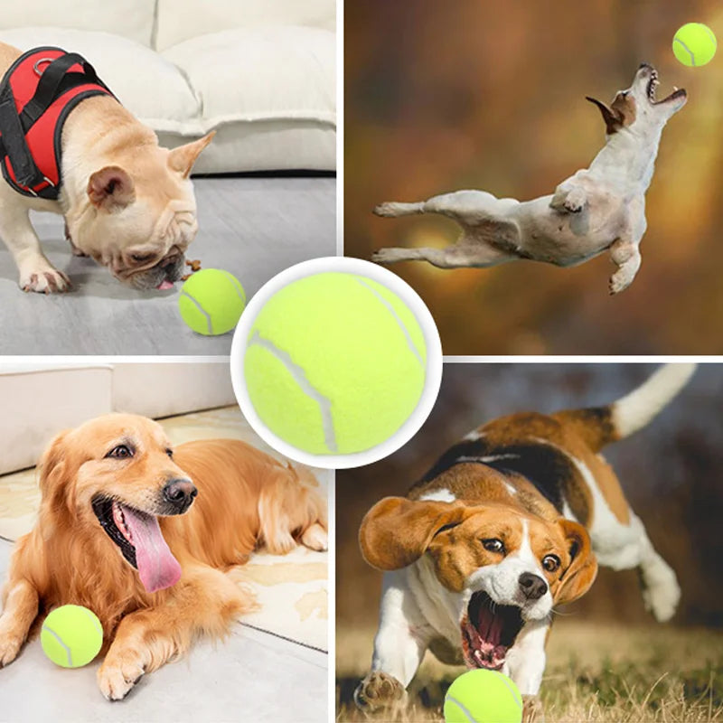 Customized Logo High Quality Multi-Color Tennis Balls Eco-Friendly Fashion Style Pet Chew Toys for Dogs