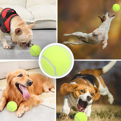 Customized Logo High Quality Multi-Color Tennis Balls Eco-Friendly Fashion Style Pet Chew Toys for Dogs