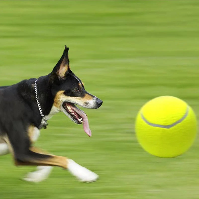 Customized Logo High Quality Multi-Color Tennis Balls Eco-Friendly Fashion Style Pet Chew Toys for Dogs