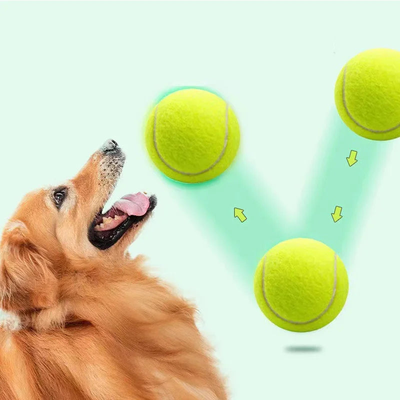 Customized Logo High Quality Multi-Color Tennis Balls Eco-Friendly Fashion Style Pet Chew Toys for Dogs