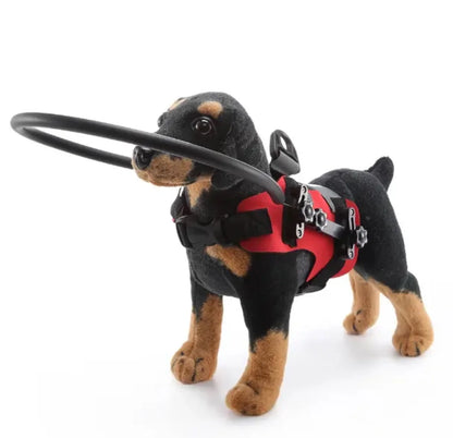 4th Generation Detachable Anti-Collision Halo Harness for Blind Dogs - Portable Protective Vest for Visually Impaired Pets