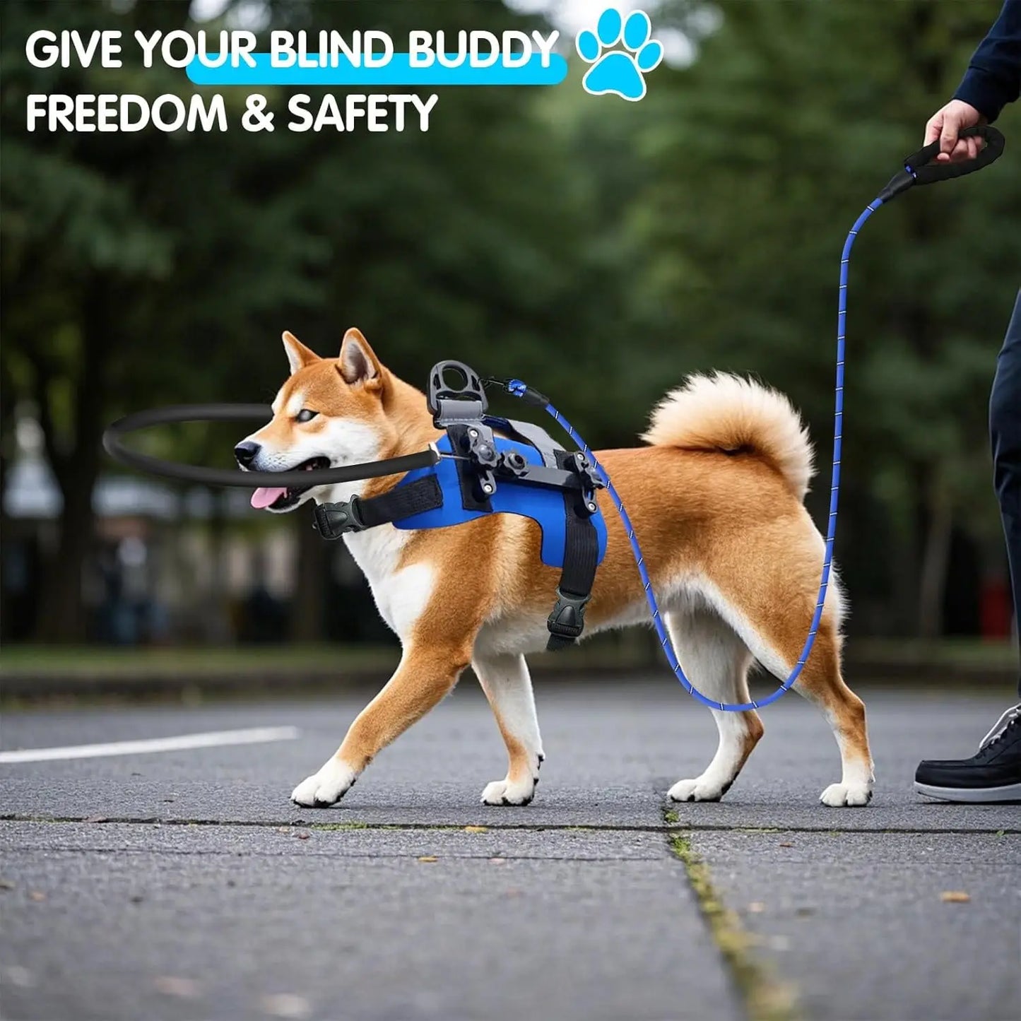 4th Generation Detachable Anti-Collision Halo Harness for Blind Dogs - Portable Protective Vest for Visually Impaired Pets