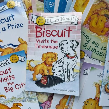 29books/set I Can Read Biscuit English Picture Children Kids Story Early Educaction Reading Books