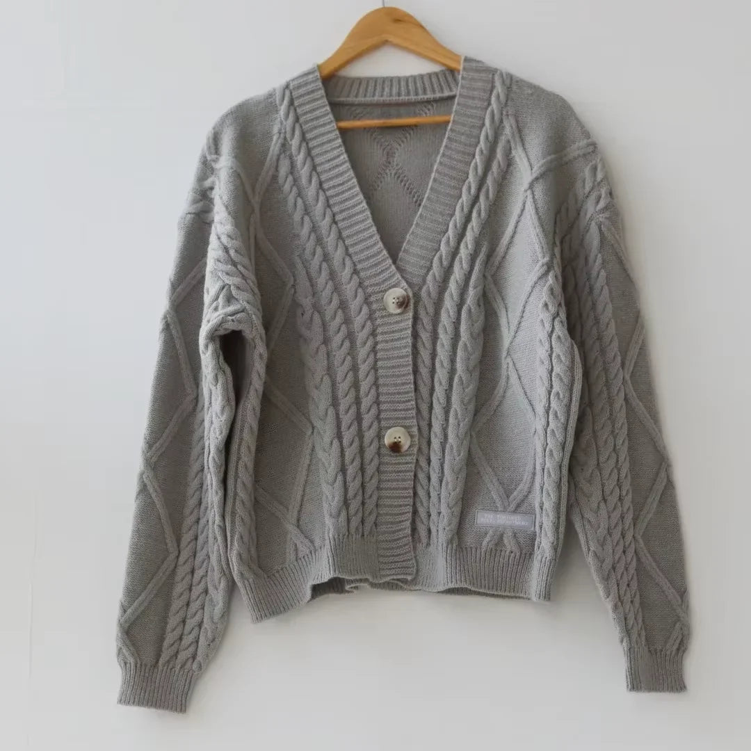 Cardigan For women Bird Embroidery Special Knit 1989 taylor Cardigan Slouchy Style Vintage Sweater