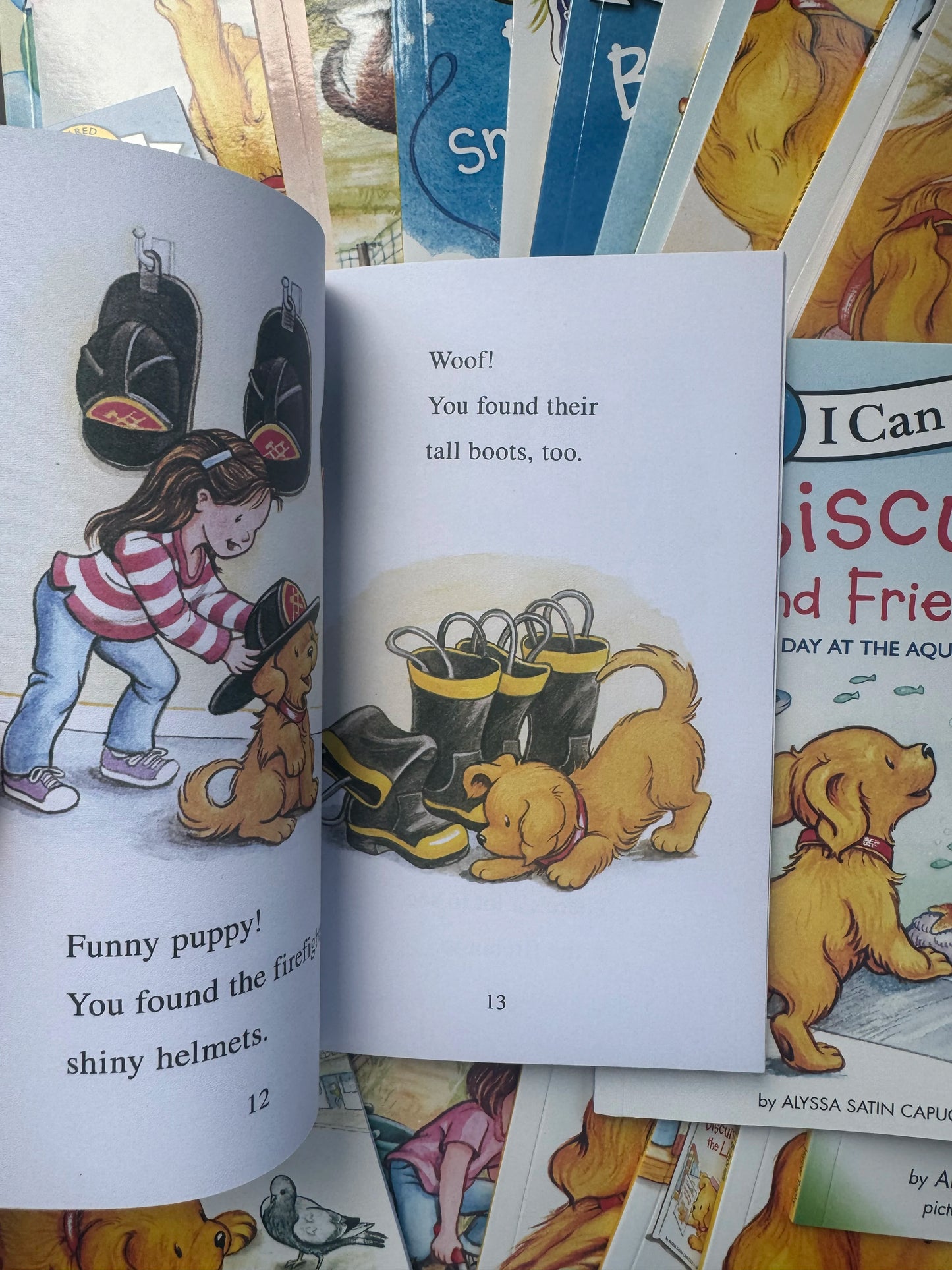 29books/set I Can Read Biscuit English Picture Children Kids Story Early Educaction Reading Books