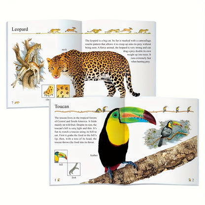 Set Of 10, English Books In My Encyclopedia Series, Gift for Kids - Children's Educational Assistance Book - Published By Sunshine Children's Educational Association - 2023-06-15